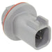 Back Up Light Socket WVE 1P1826