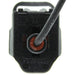 Oil Pressure Switch Connector WVE 1P1833