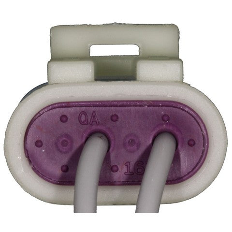 Door Ajar Switch Connector WVE 1P1914