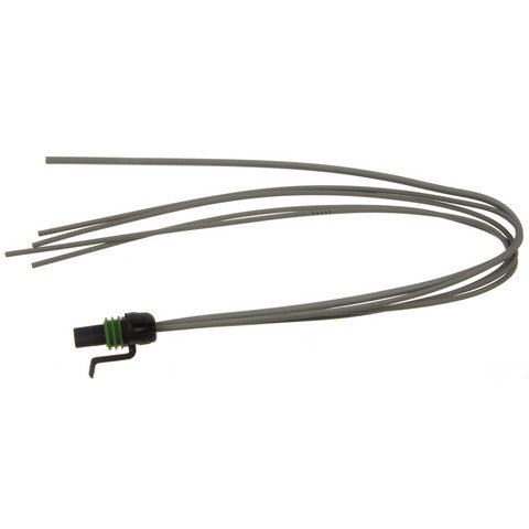 Headlight Control Module Connector WVE 1P1989