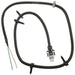 ABS Wheel Speed Sensor Wiring Harness WVE 1P2035
