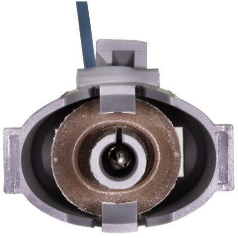 Ignition Knock (Detonation) Sensor Harness WVE 1P2069