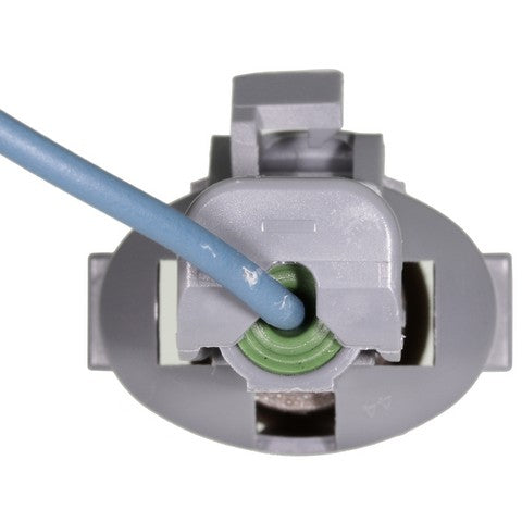 Ignition Knock (Detonation) Sensor Harness WVE 1P2069