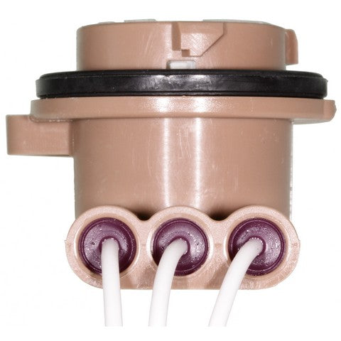 Turn Signal Light Socket WVE 1P2073