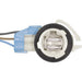 Tail Light Wiring Harness WVE 1P2074