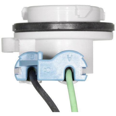 Tail Light Wiring Harness WVE 1P2075