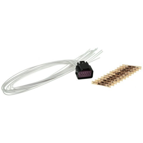 Headlight Switch Connector WVE 1P2079