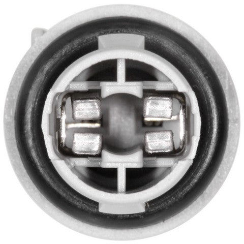 Side Marker Light Socket WVE 1P2097