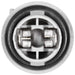 Side Marker Light Socket WVE 1P2097