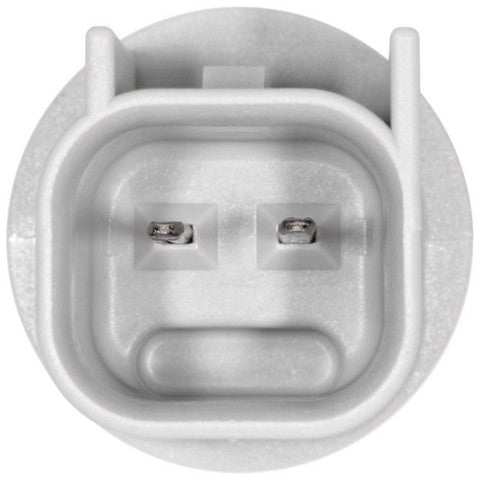 Side Marker Light Socket WVE 1P2097