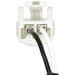 ABS Wheel Speed Sensor Wiring Harness WVE 1P2127
