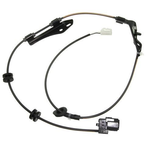 ABS Wheel Speed Sensor Wiring Harness WVE 1P2134