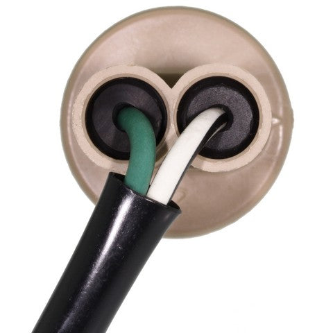 Combination Light Socket WVE 1P2142