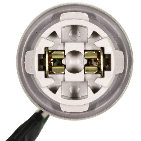 Combination Light Socket WVE 1P2146