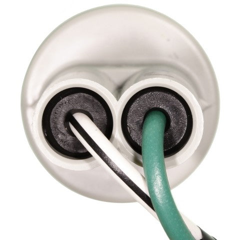 Combination Light Socket WVE 1P2146