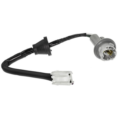 Combination Light Socket WVE 1P2146