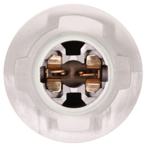 Back Up Light Socket WVE 1P2167