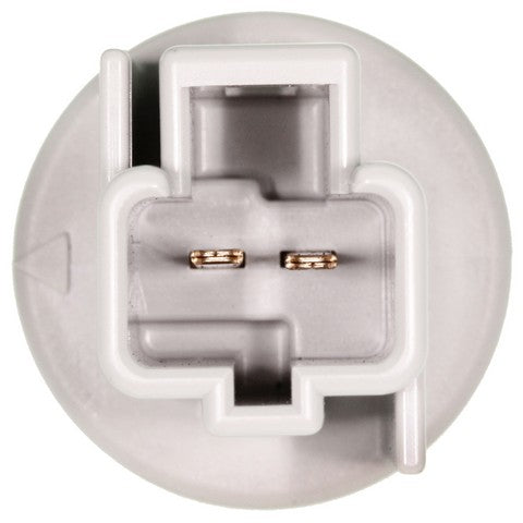 Back Up Light Socket WVE 1P2167