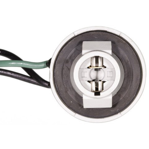 Back Up Light Wiring Harness WVE 1P2174