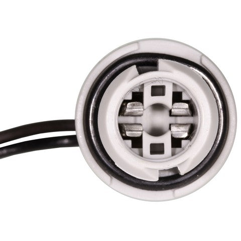 Back Up Light Wiring Harness WVE 1P2174