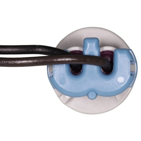 Back Up Light Wiring Harness WVE 1P2174