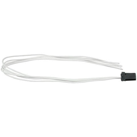 Power Steering Control Module Connector WVE 1P2188