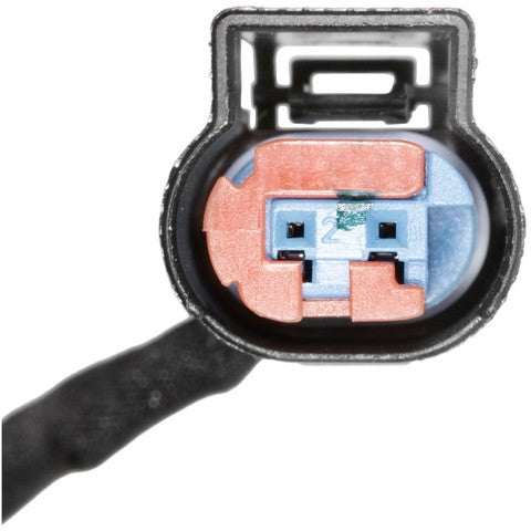 Forward Light Harness Socket WVE 1P2194