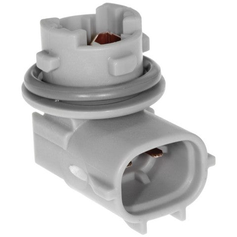 License Plate Light Socket WVE 1P2217