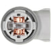 License Plate Light Socket WVE 1P2217