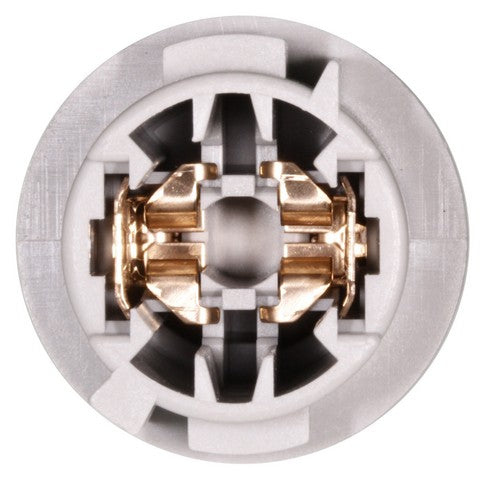 Back Up Light Socket WVE 1P2233