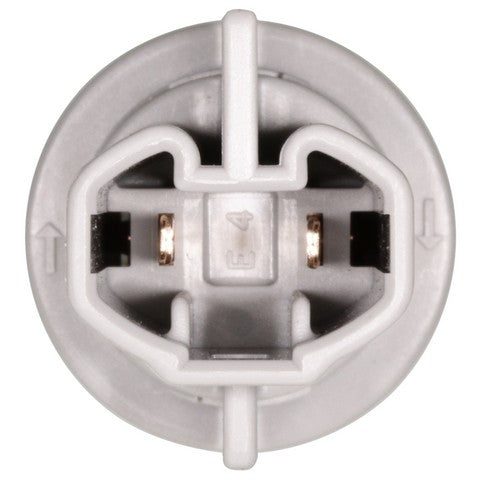 Back Up Light Socket WVE 1P2233