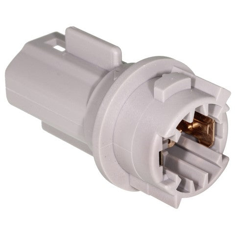 Back Up Light Socket WVE 1P2233