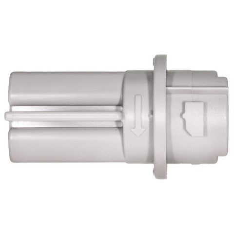 Back Up Light Socket WVE 1P2233