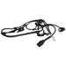 ABS Wheel Speed Sensor Wiring Harness WVE 1P2238