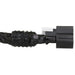 ABS Wheel Speed Sensor Wiring Harness WVE 1P2271