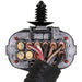 ABS Wheel Speed Sensor Wiring Harness WVE 1P2293