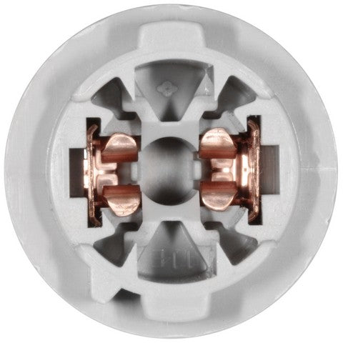 License Plate Light Socket WVE 1P2306