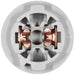 License Plate Light Socket WVE 1P2306
