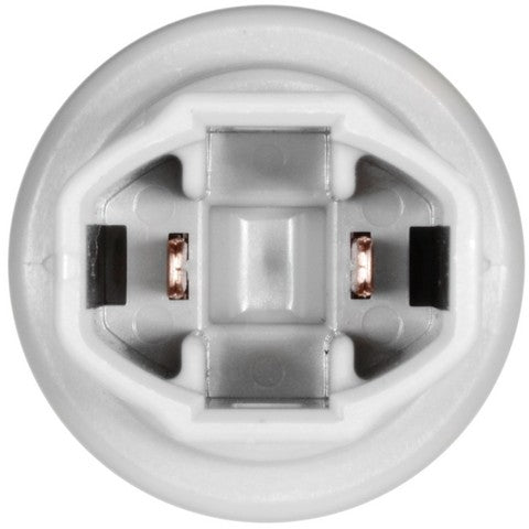 License Plate Light Socket WVE 1P2306