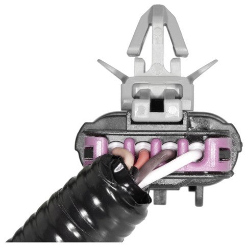 ABS Wheel Speed Sensor Wiring Harness WVE 1P2319