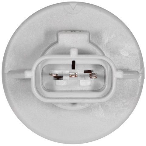 Combination Light Socket WVE 1P2322