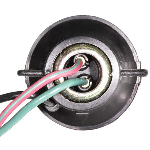 Combination Light Socket WVE 1P2330