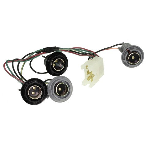 Combination Light Socket WVE 1P2330