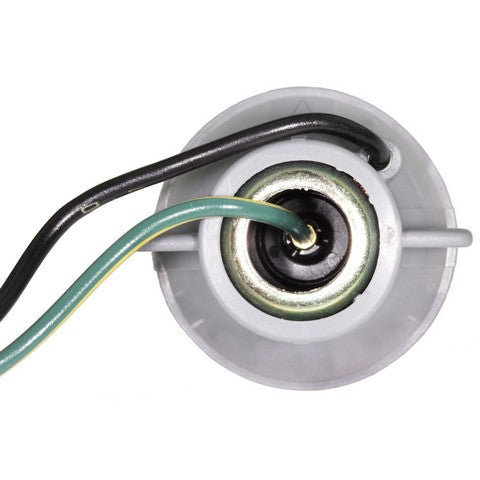 Combination Light Socket WVE 1P2330