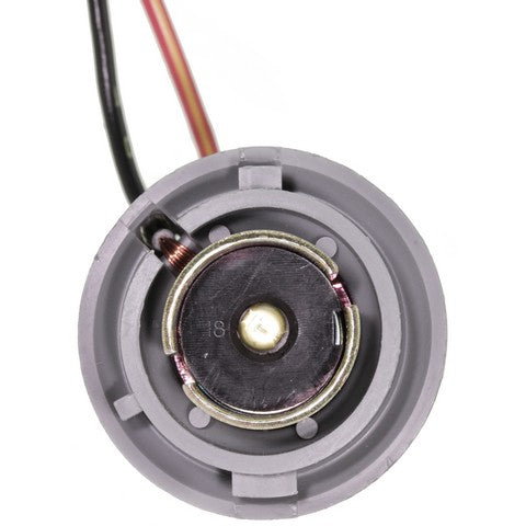 Combination Light Socket WVE 1P2330