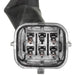 ABS Wheel Speed Sensor Wiring Harness WVE 1P2334