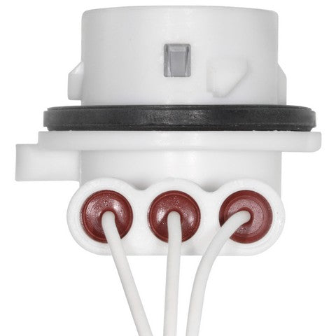 Daytime Running Light Socket WVE 1P2349