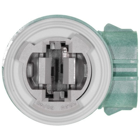 Combination Light Socket WVE 1P2359