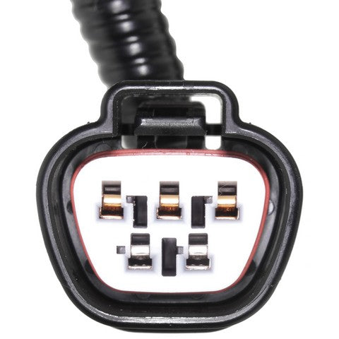 Ignition Knock (Detonation) Sensor Harness WVE 1P2374