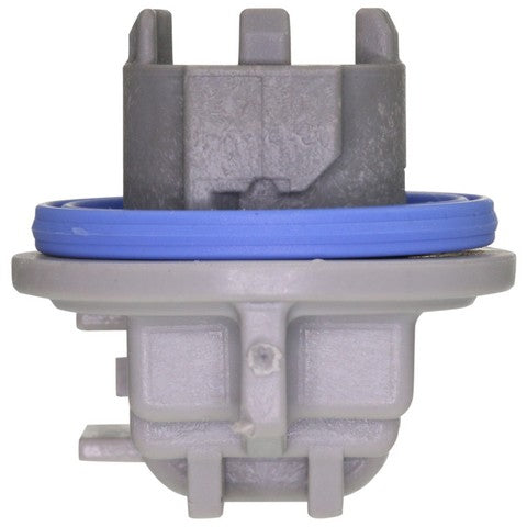 Back Up Light Socket WVE 1P2391